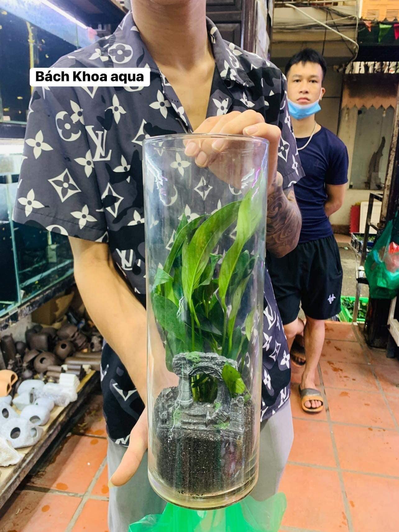 Cóng trụ 2 kích thước để bàn trang trí siêu đẹp